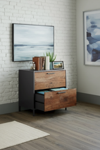 2-Drawer Retro Industrial Lateral File Cabinet with Metal Frame