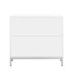 Moderne accentkast met houtfineer en metalen onderstel