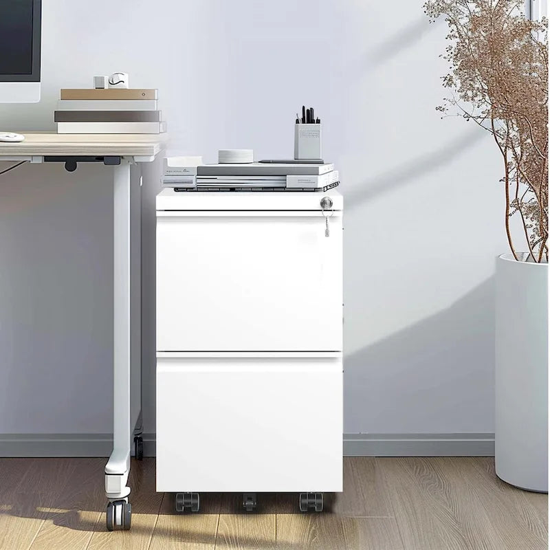 2-Drawer Rolling Metal File Cabinet with Lock for Home Office
